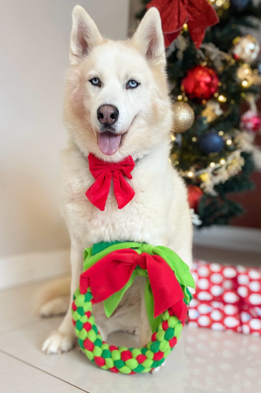 Festive Wreath Dog Tug 3 Sizes Available (Free Postage)
