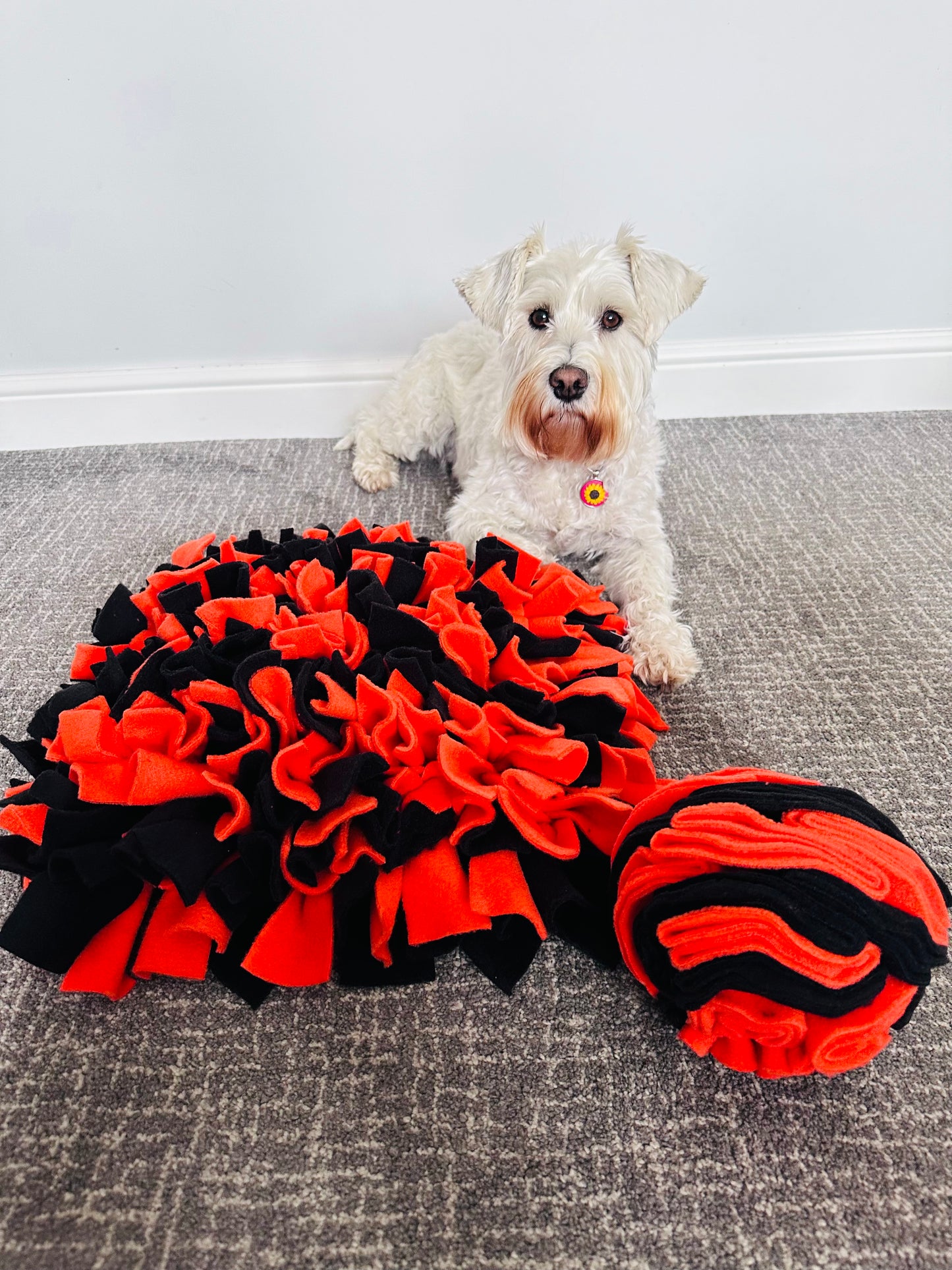 Schnauzerfest Snuffle Mat & Snuffle Ball Set, 4 size options available. (15% of this order will be donated to the Schnauzerfest charity)