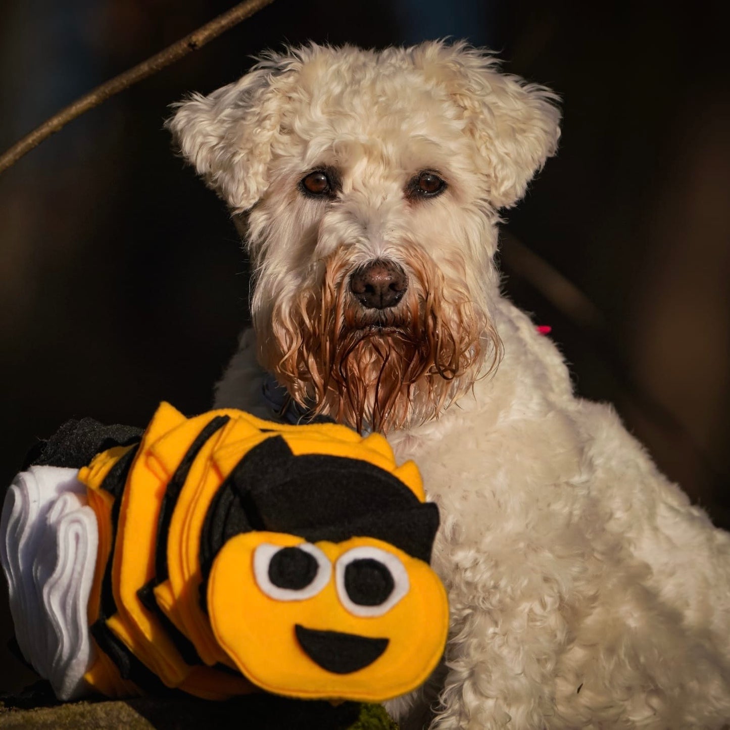 Bumble Buzzle Available In 2 Sizes