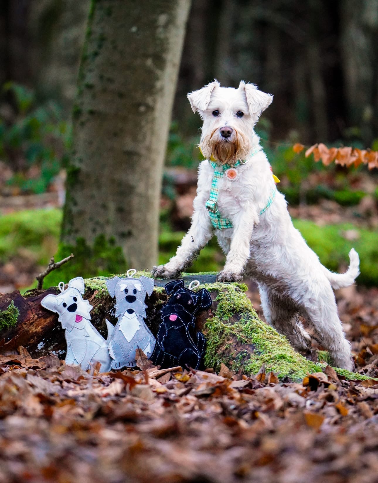The Schnauzer Collection – Snufflesshop