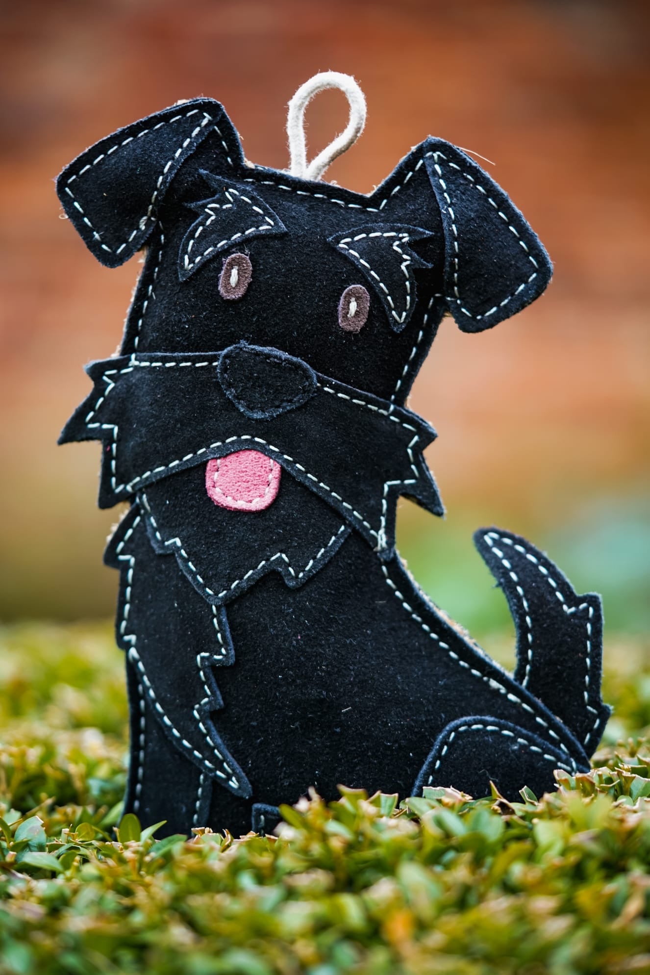 The Schnauzer Collection