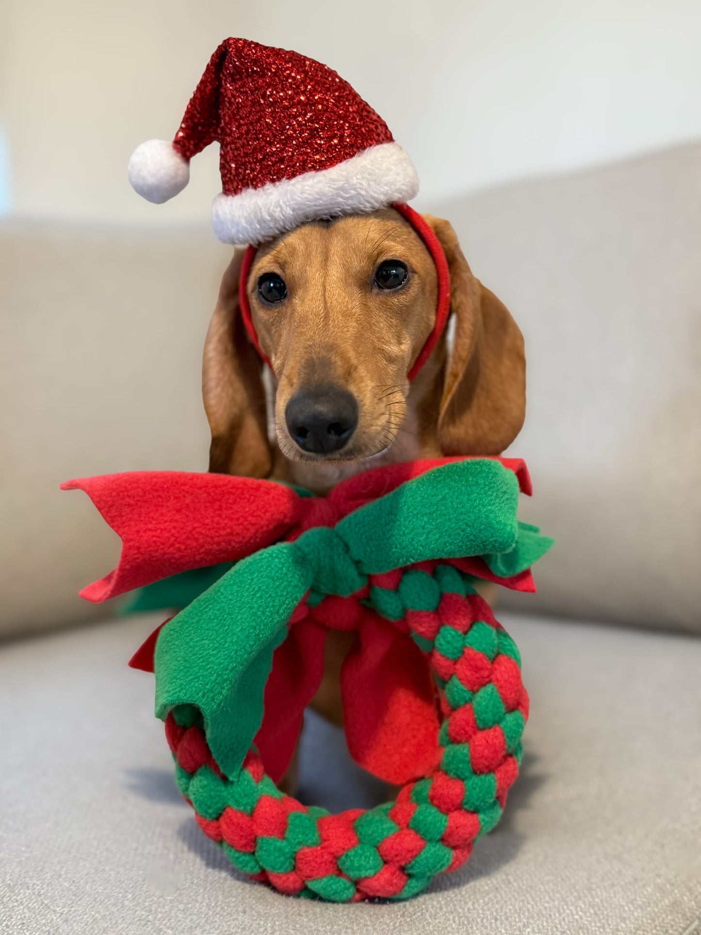 Festive Wreath Dog Tug 3 Sizes Available (Free Postage)