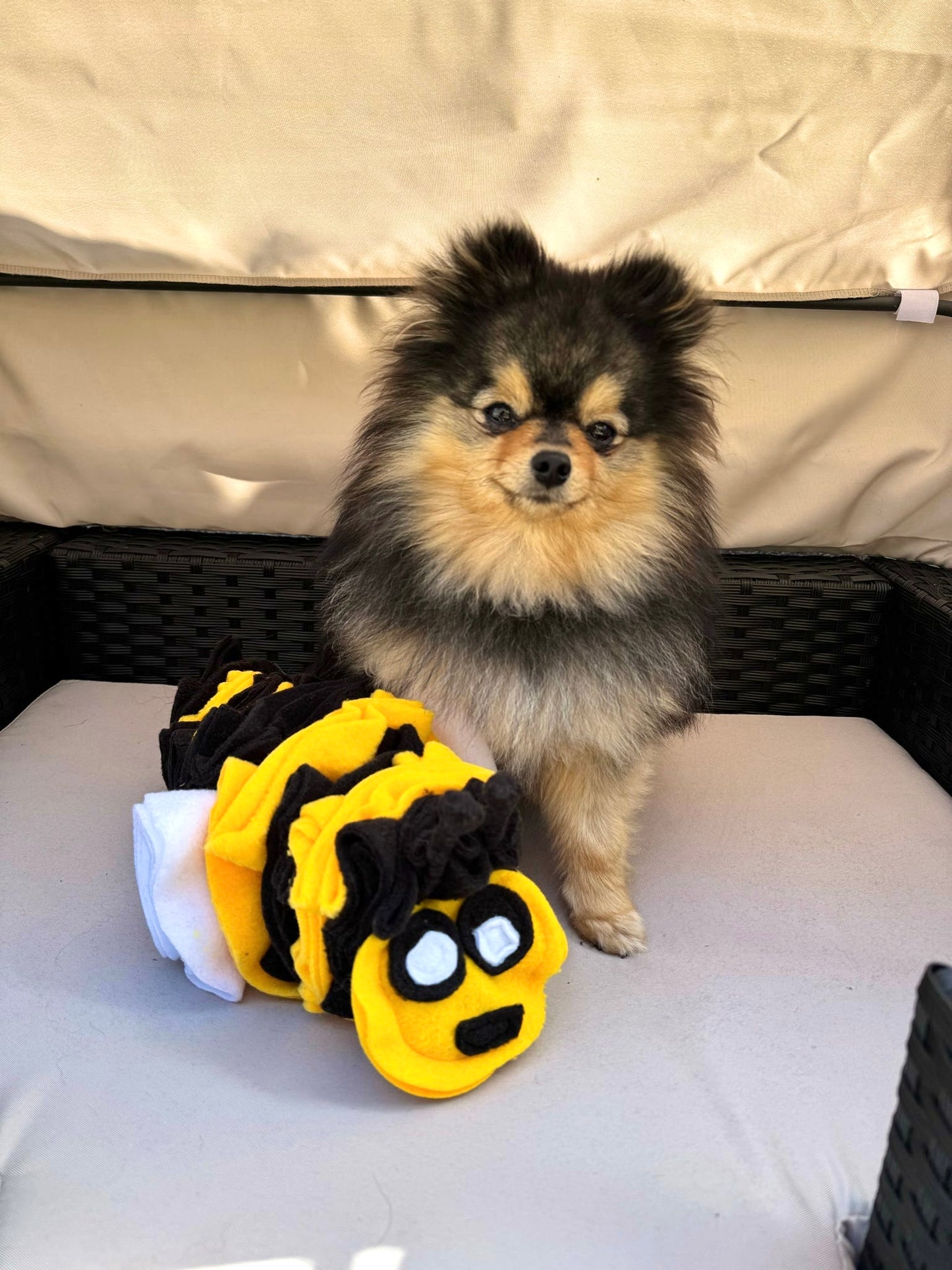 Bumble Buzzle Available In 2 Sizes (Free Postage)