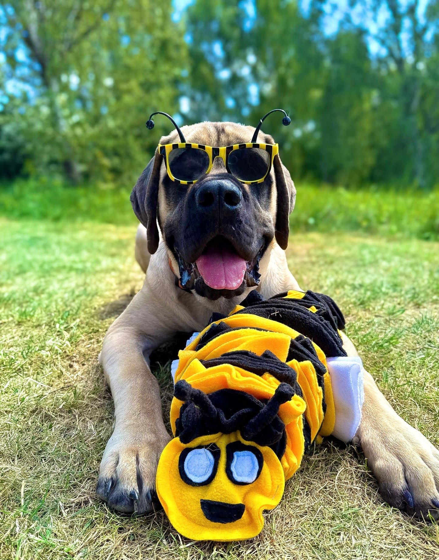 Bumble Buzzle Available In 2 Sizes (Free Postage)