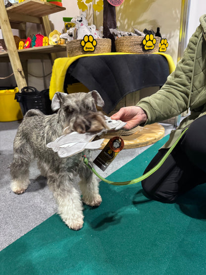 The Schnauzer Collection