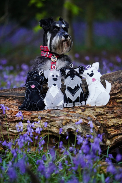 The Schnauzer Collection