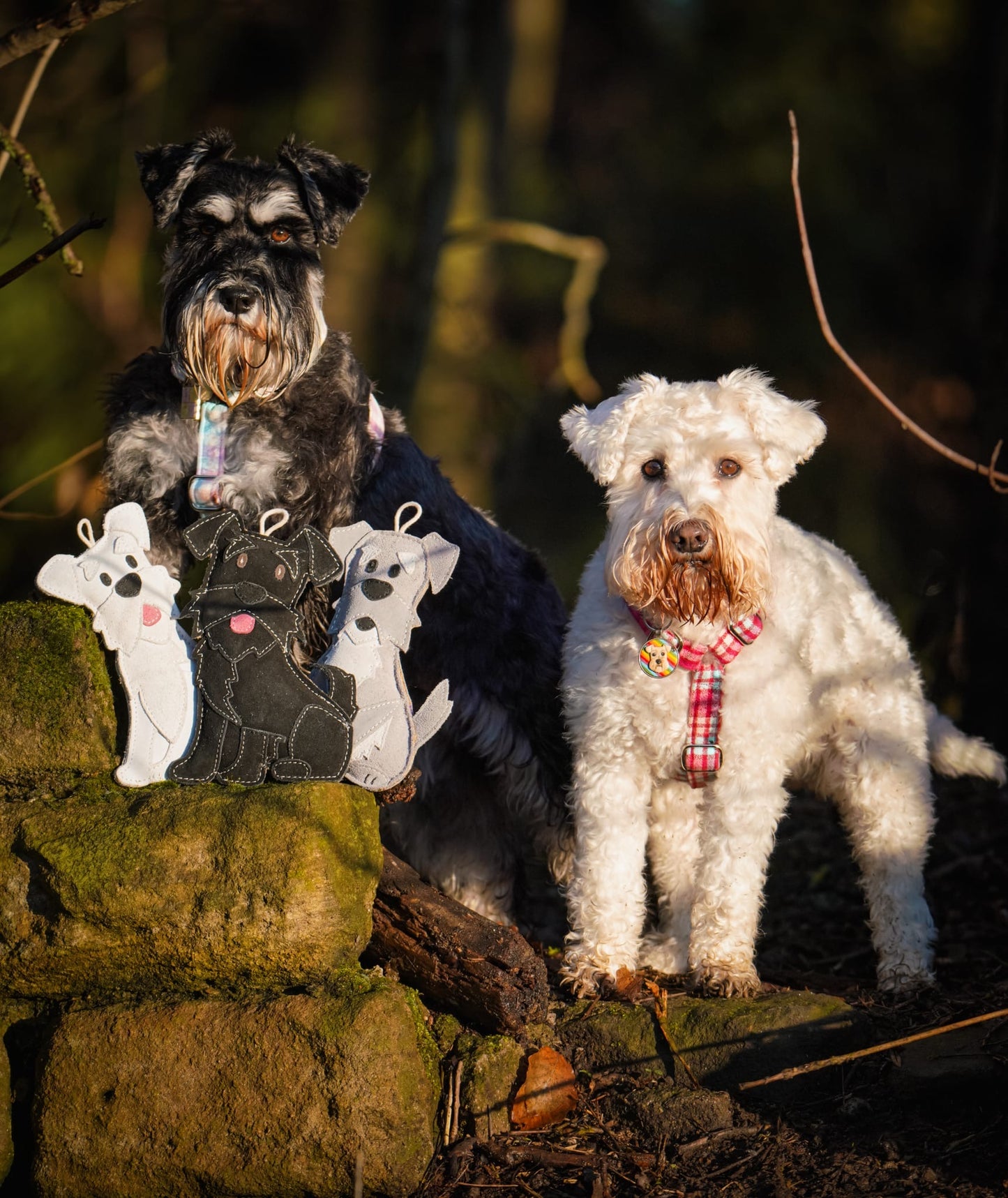 The Schnauzer Collection