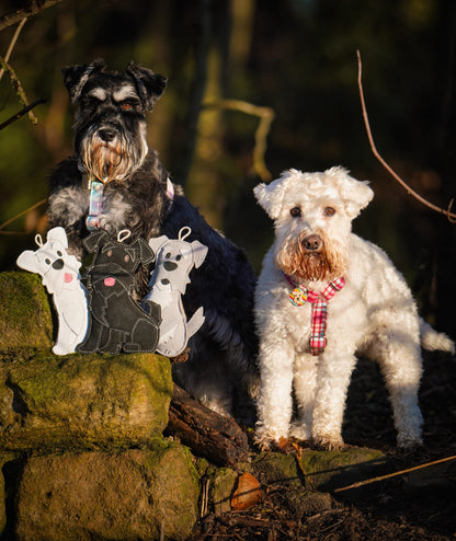 The Schnauzer Collection