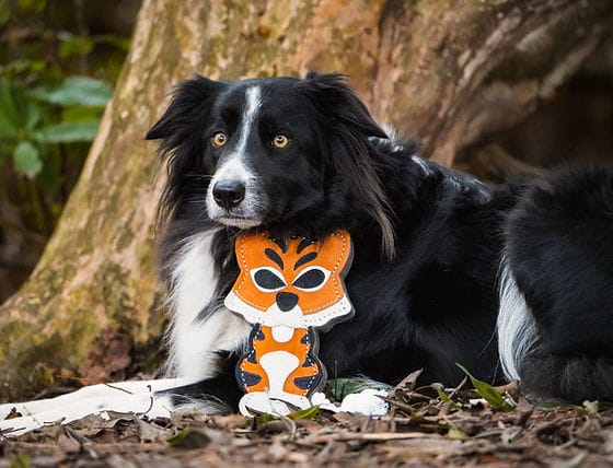 Tina The Tiger (Free Postage)