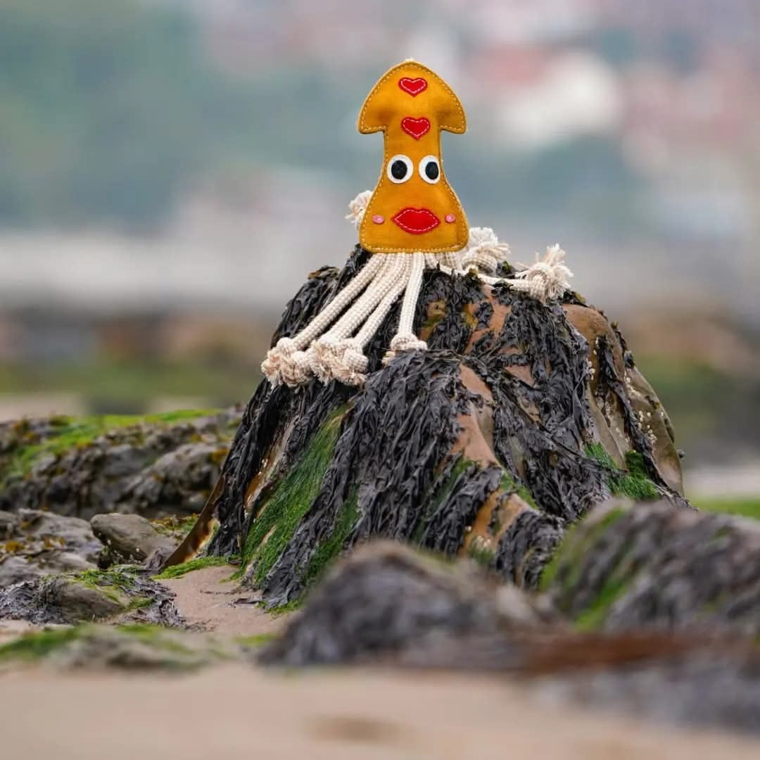 Karen The Squid (Free Postage)