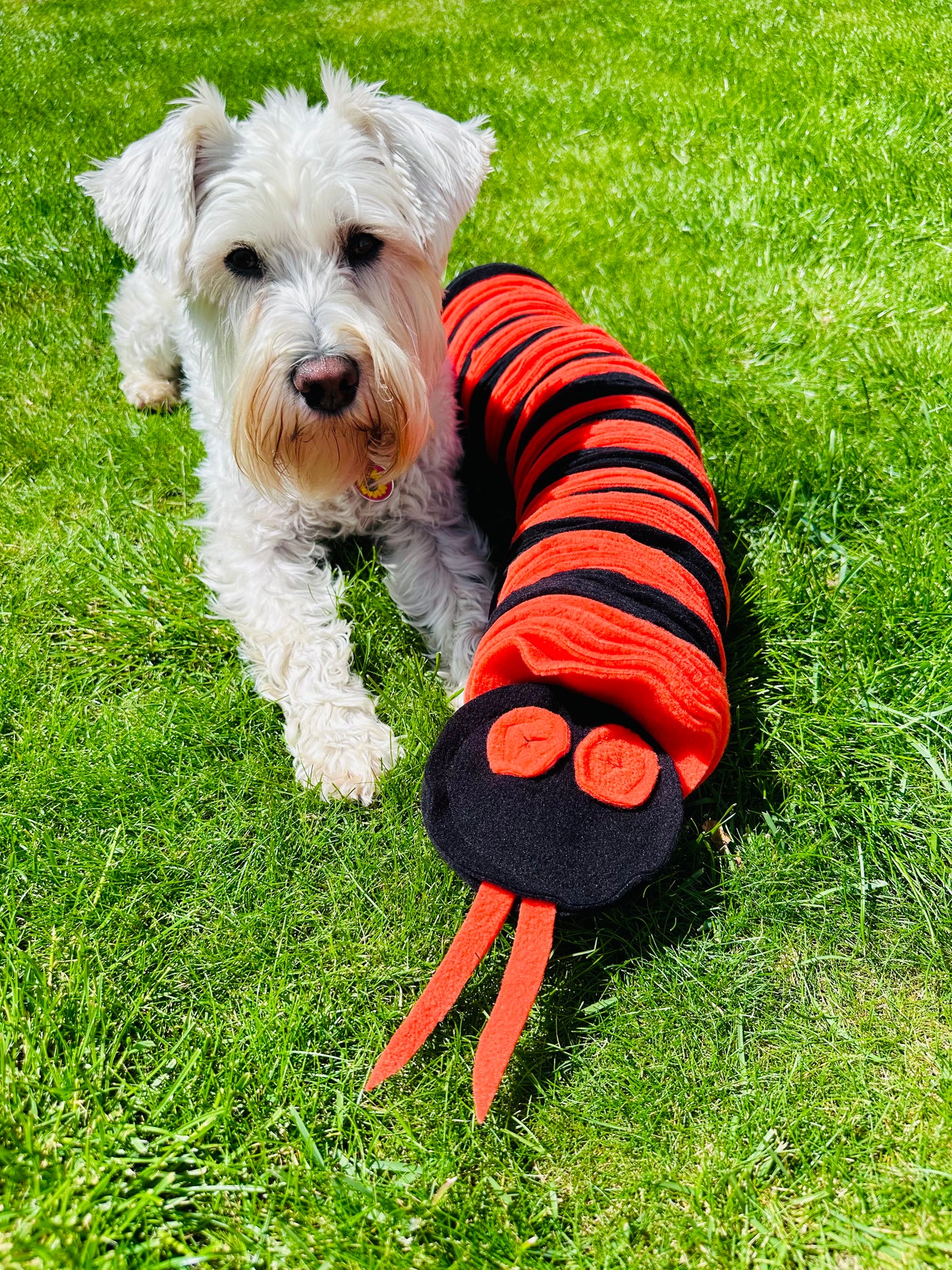 Schnauzerfest Snuffle Snake, Available in 2 styles and 3 sizes ( 15% of this order will be donated to the Schnauzerfest charity)