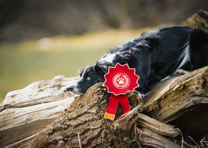 Everyone’s A Winner Rosette (Free Postage)