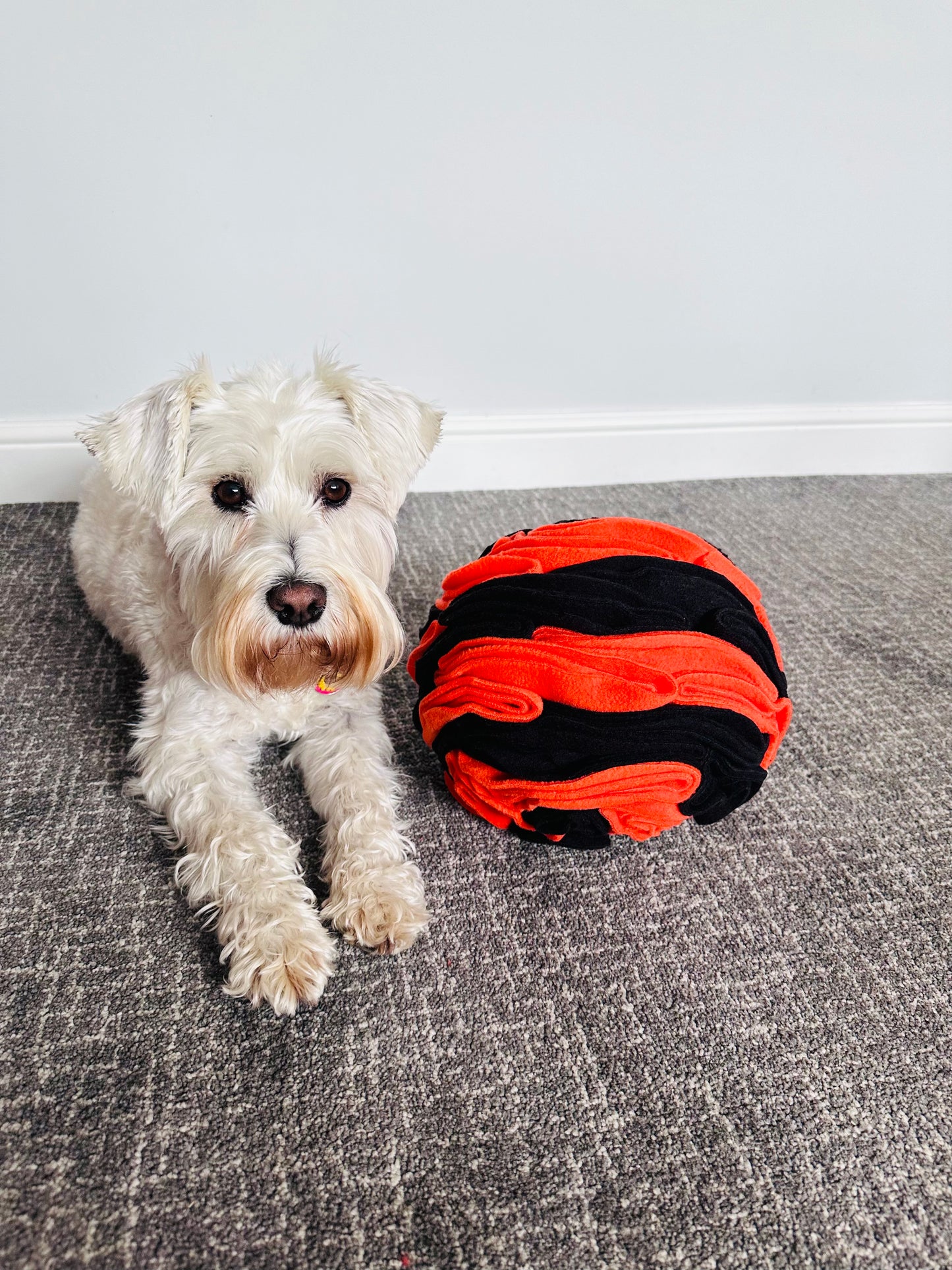 Schnauzerfest  Snuffle Ball available in 3 sizes (15% of this order will be donated to the Schnauzerfest charity)