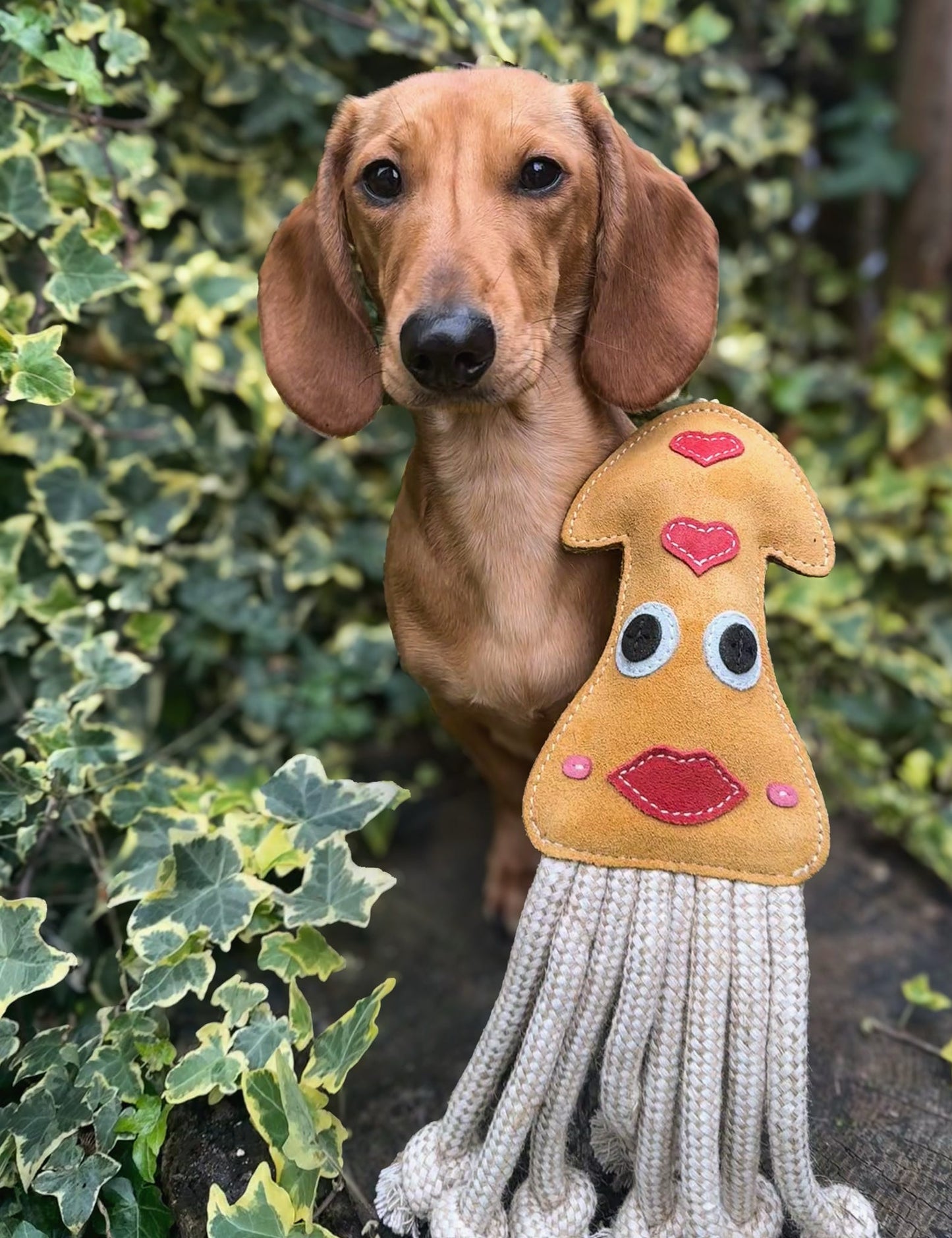 Karen The Squid (Free Postage)