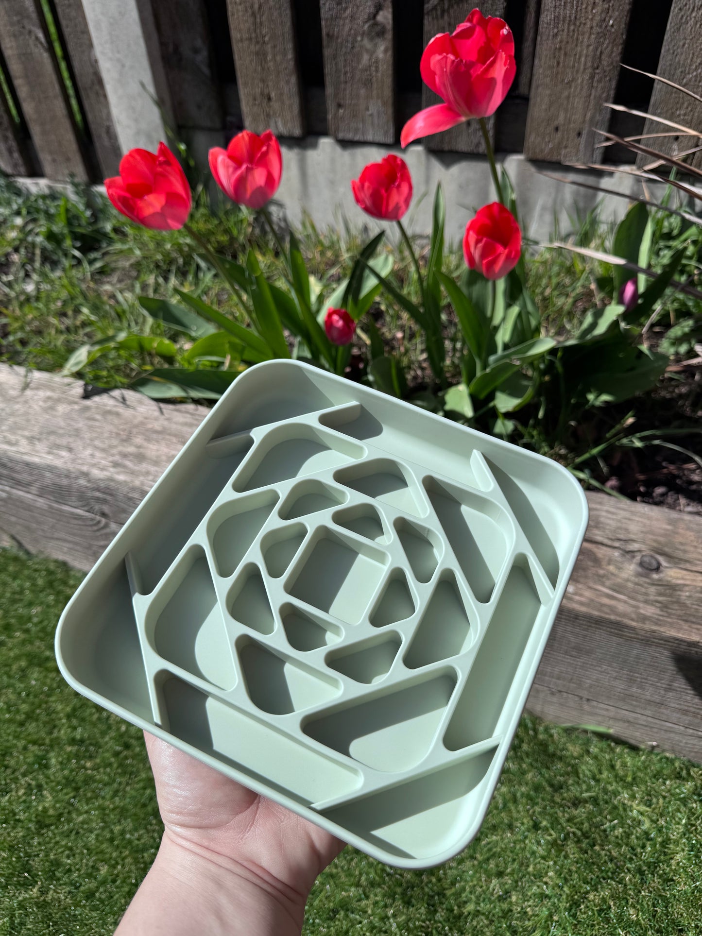 Geometric Enrichment Feeder (Free Postage)