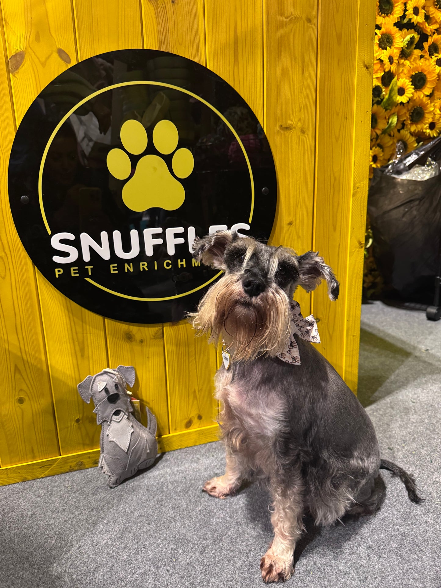 The Schnauzer Collection
