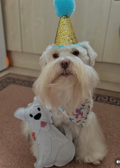 The Schnauzer Collection