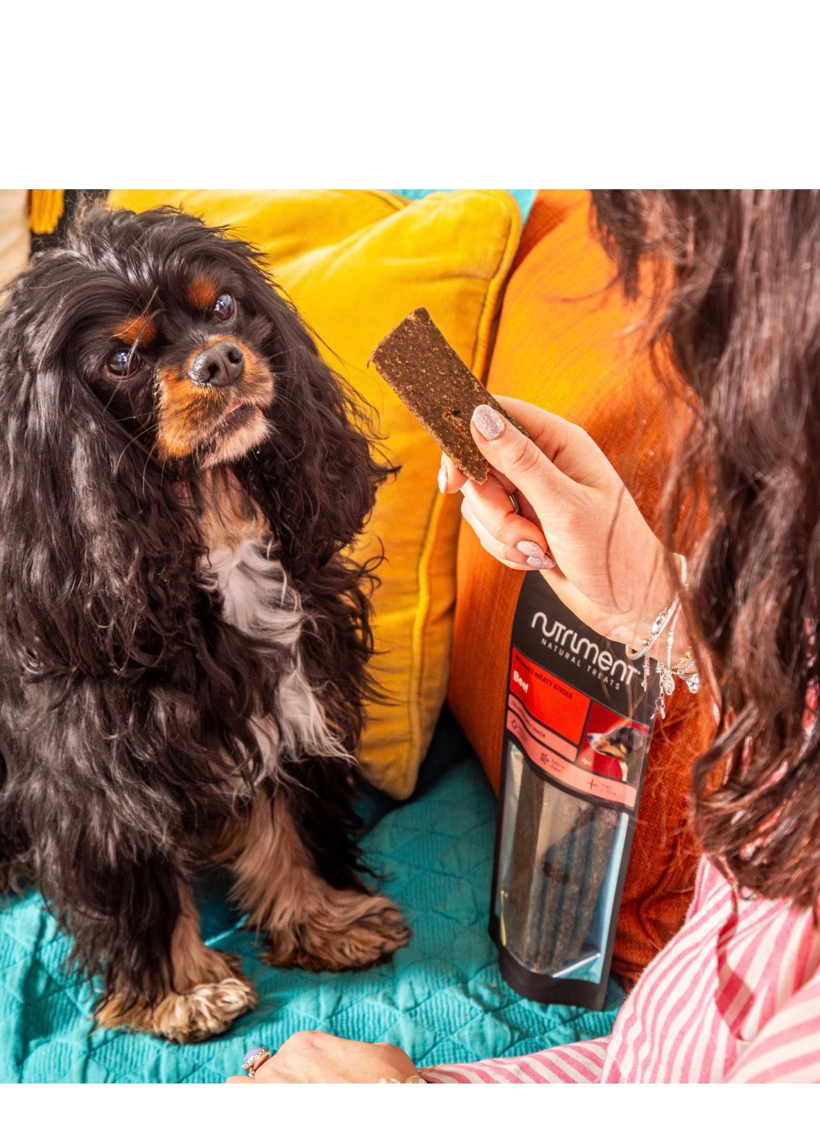 Nutriment Gourmet Meaty Sticks