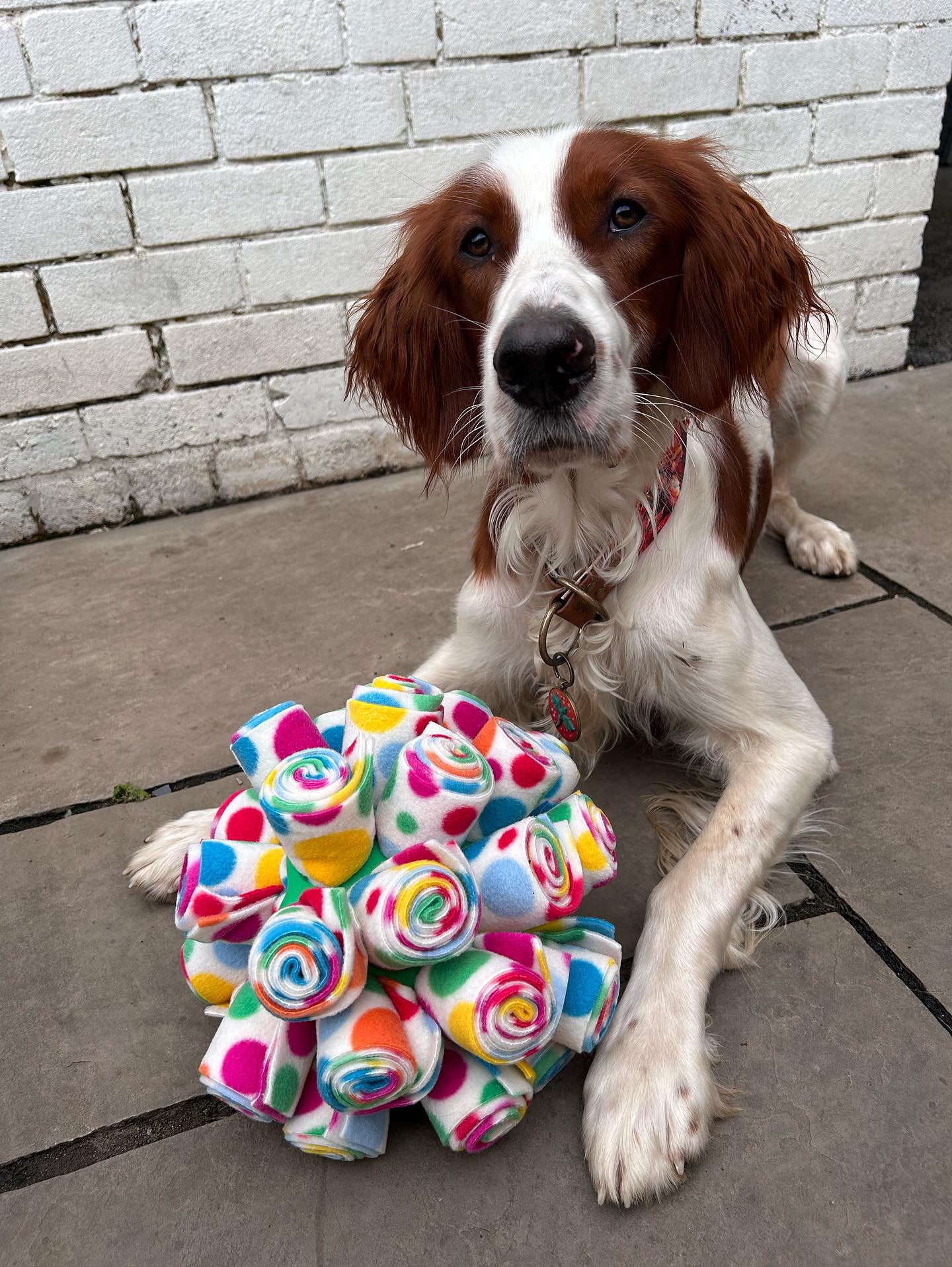 Snuffle Cage Ball (Free Postage)