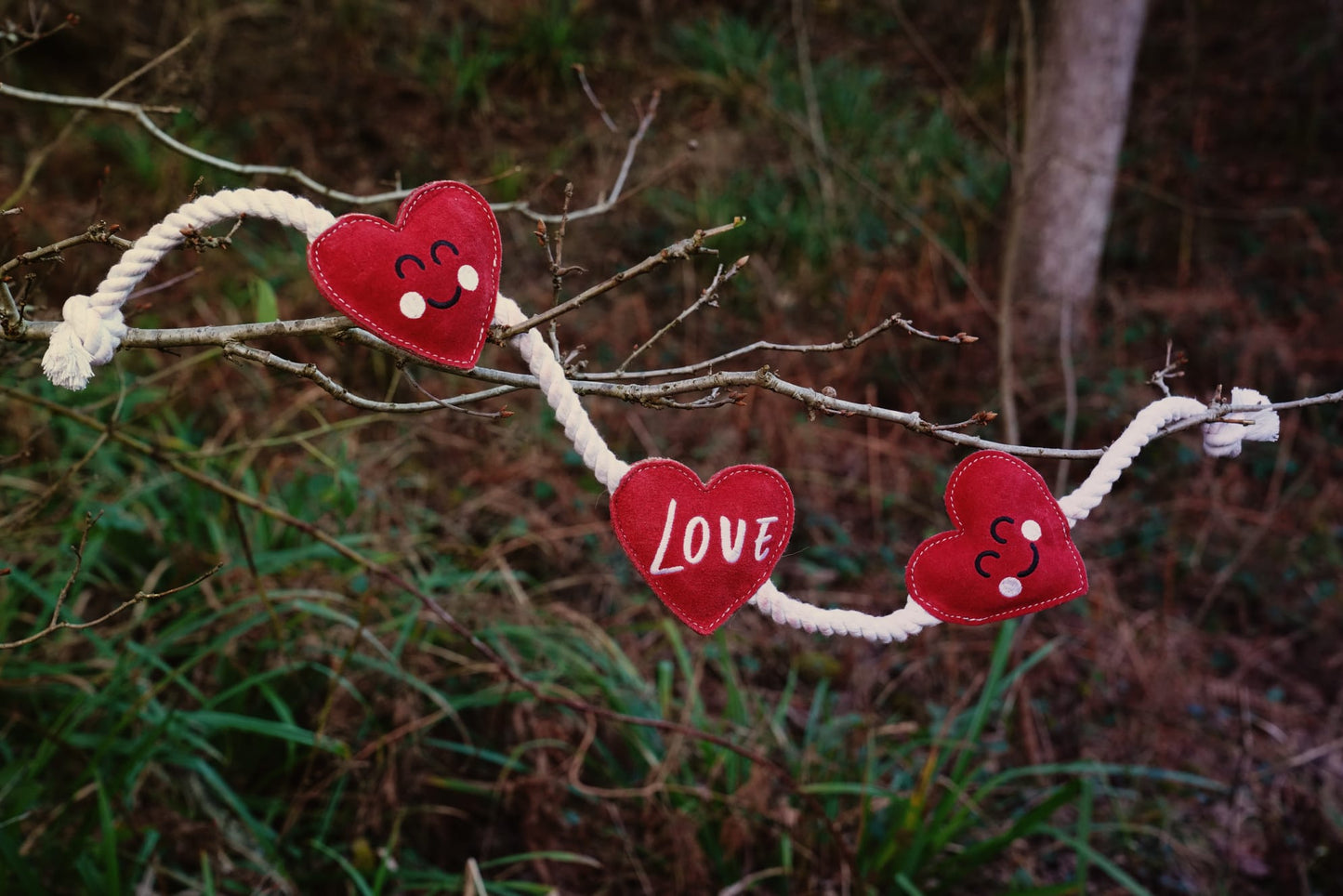 Heartstrings (Free Postage)