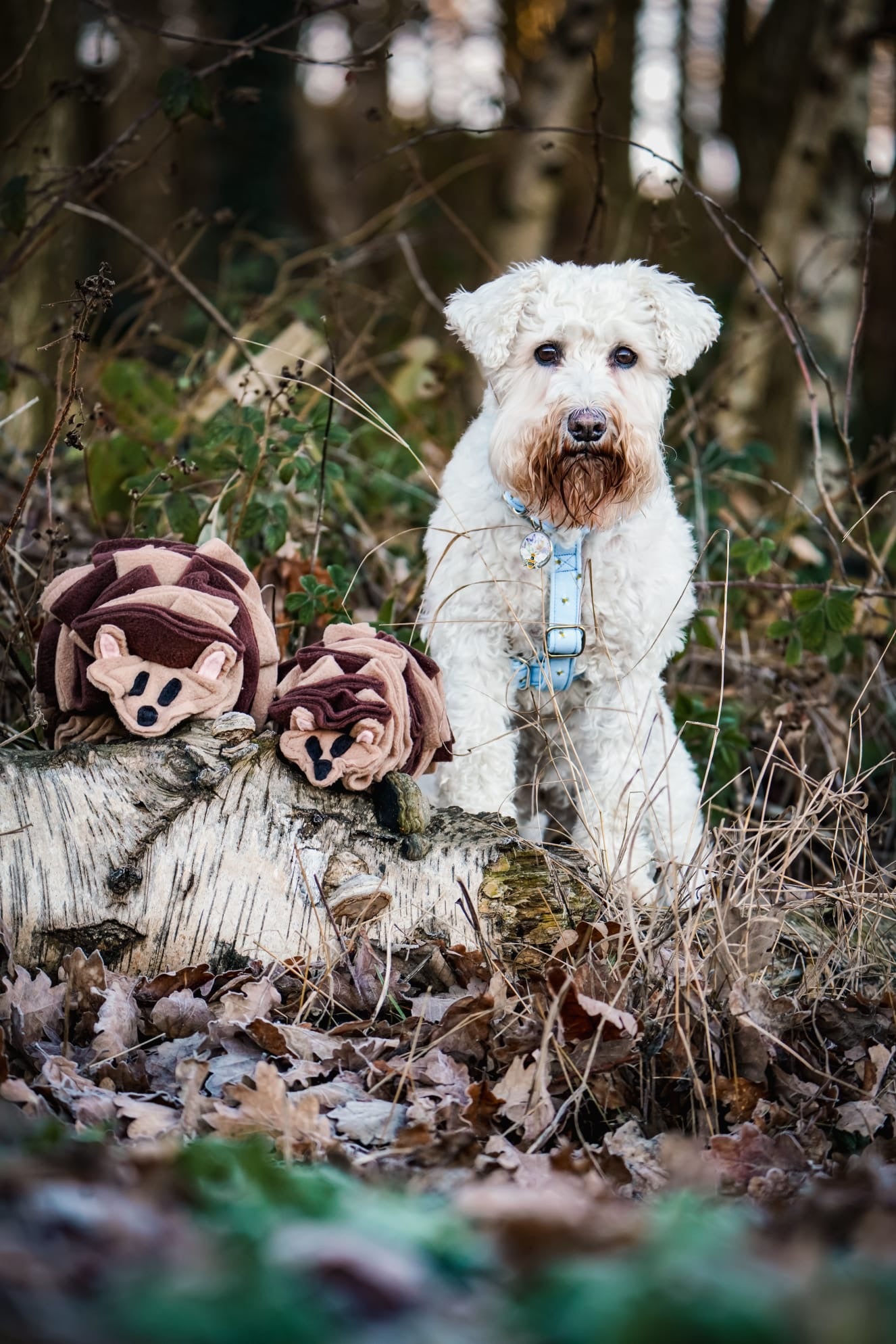 The Snuffle Hog Available In 2 Sizes