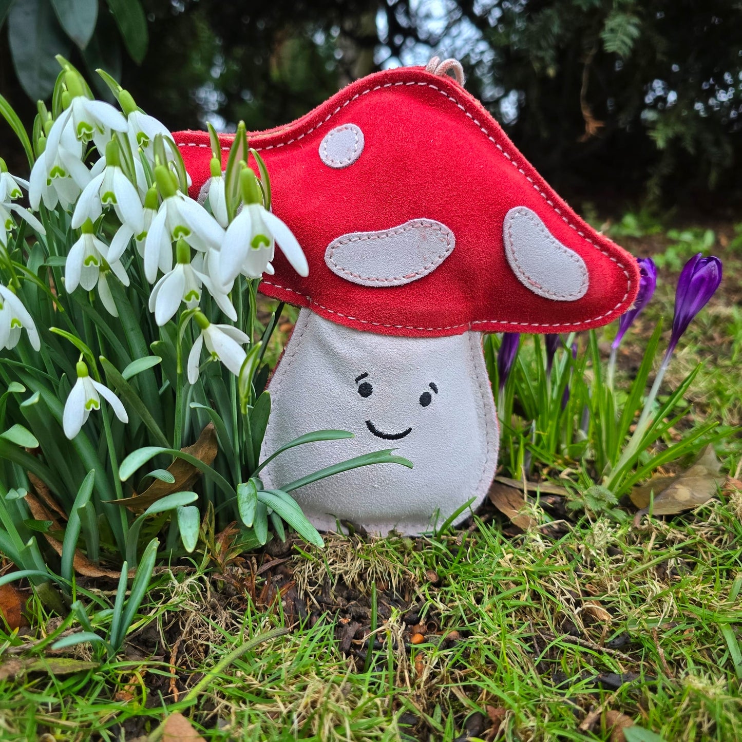 Marie Mushroom(Free Postage)