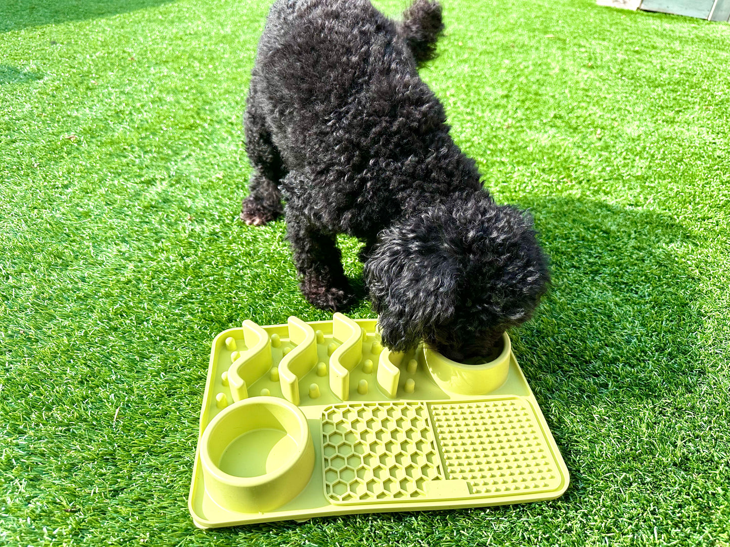 Multifunctional Lick Mat, Available In 2 Sizes