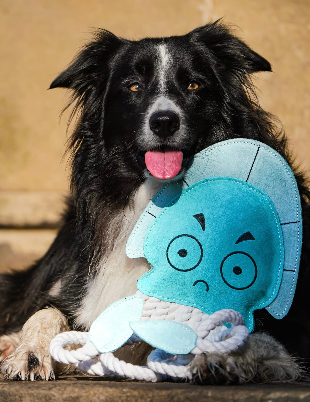 Dave The XL Jellyfish