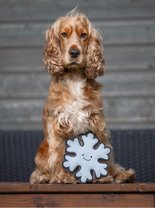 Flakey The Snowflake (Free Postage)