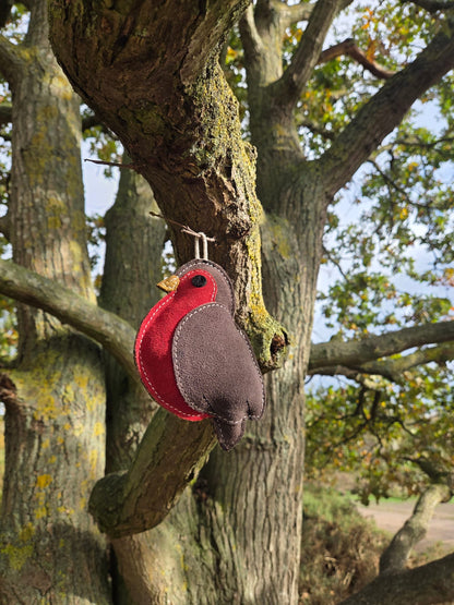 Rodney The Robin (Free Postage)