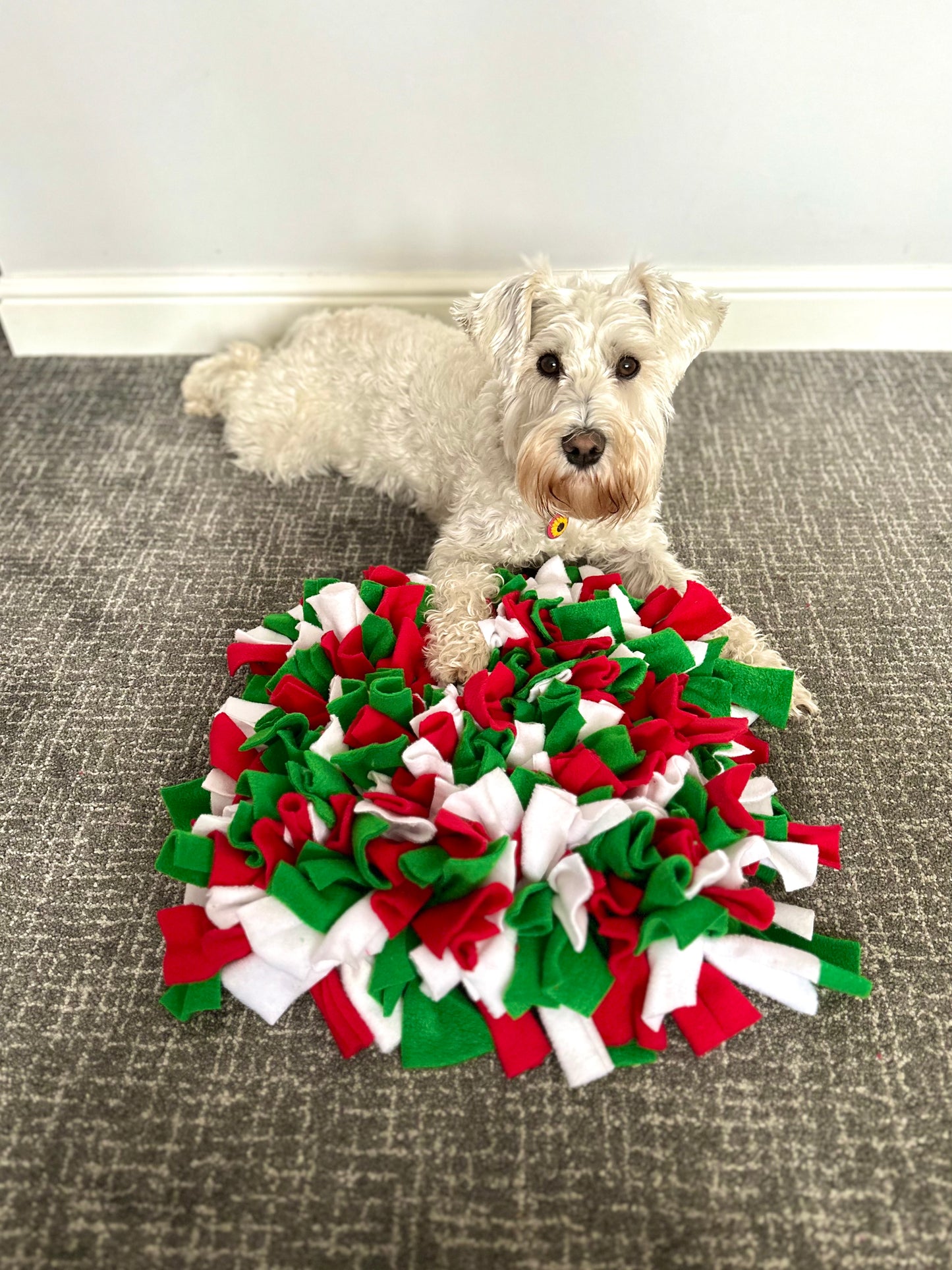 Christmas Snuffle Mats 2 Sizes Available (Free Postage)