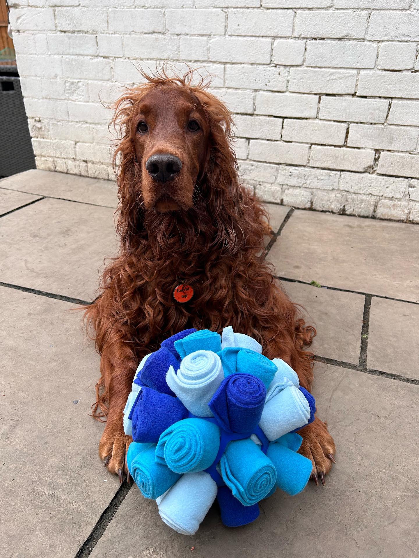 Custom Coloured Snuffle Cage Ball (Free Postage)