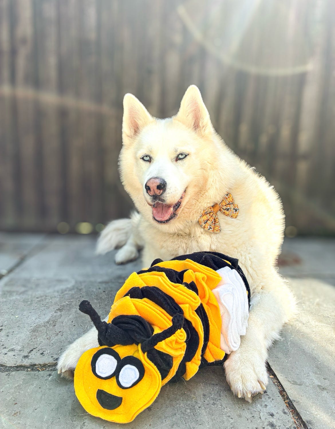 Bumble Buzzle Available In 2 Sizes (Free Postage)