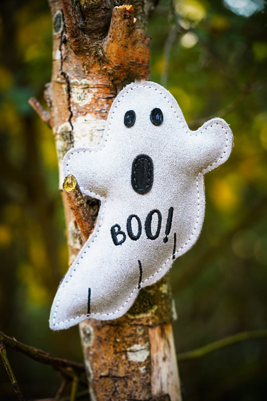 Boo Paul (Free Postage)