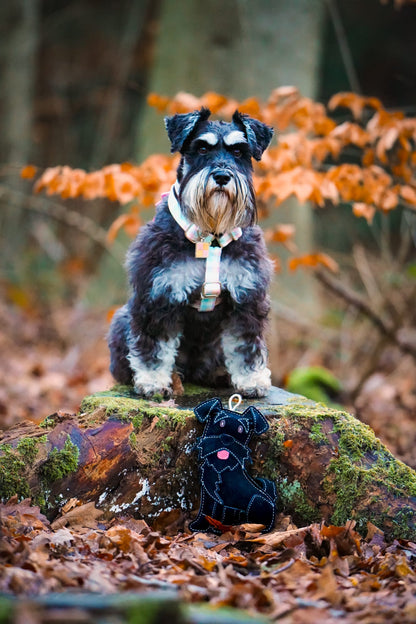The Schnauzer Collection