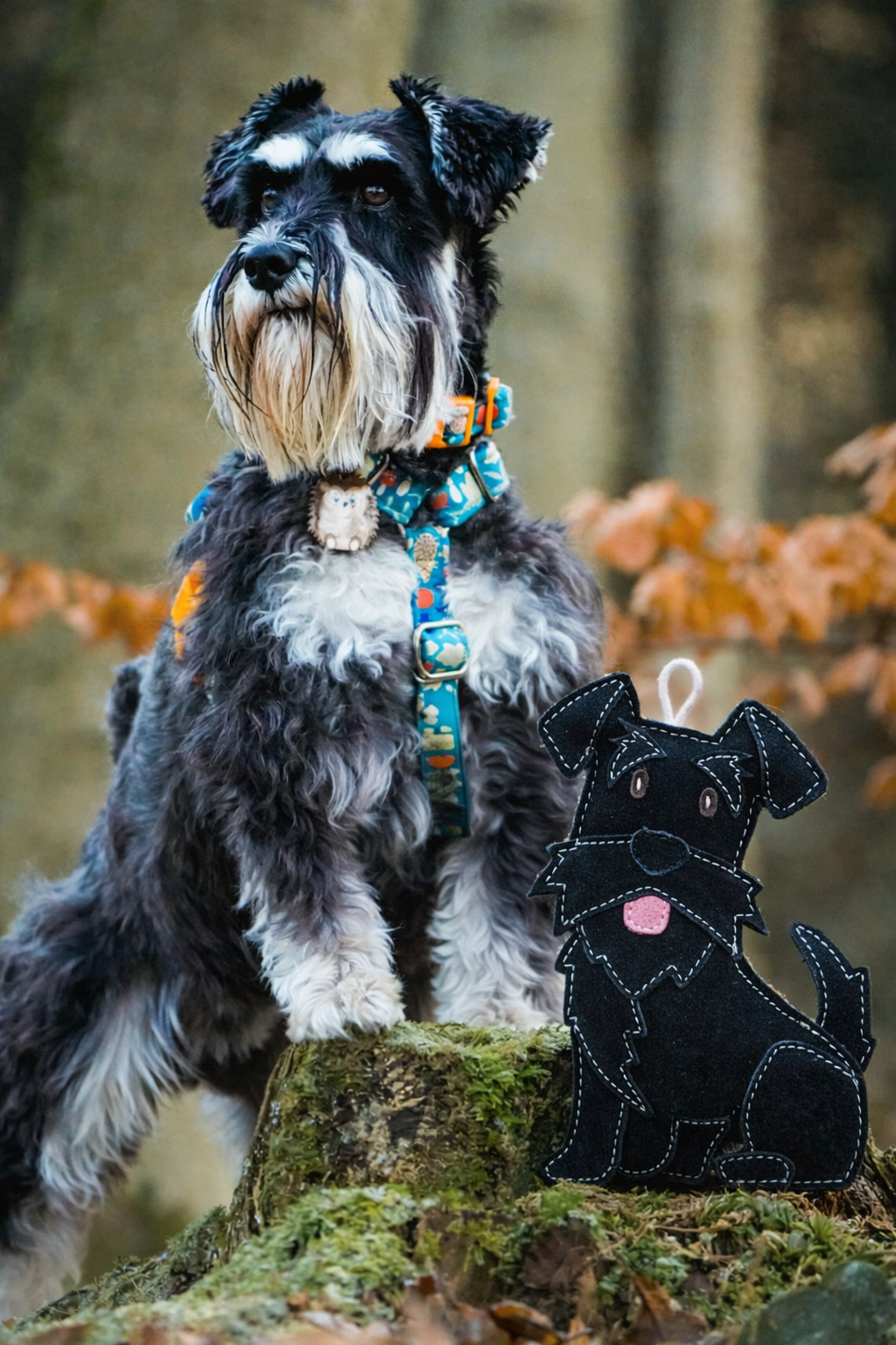 The Schnauzer Collection