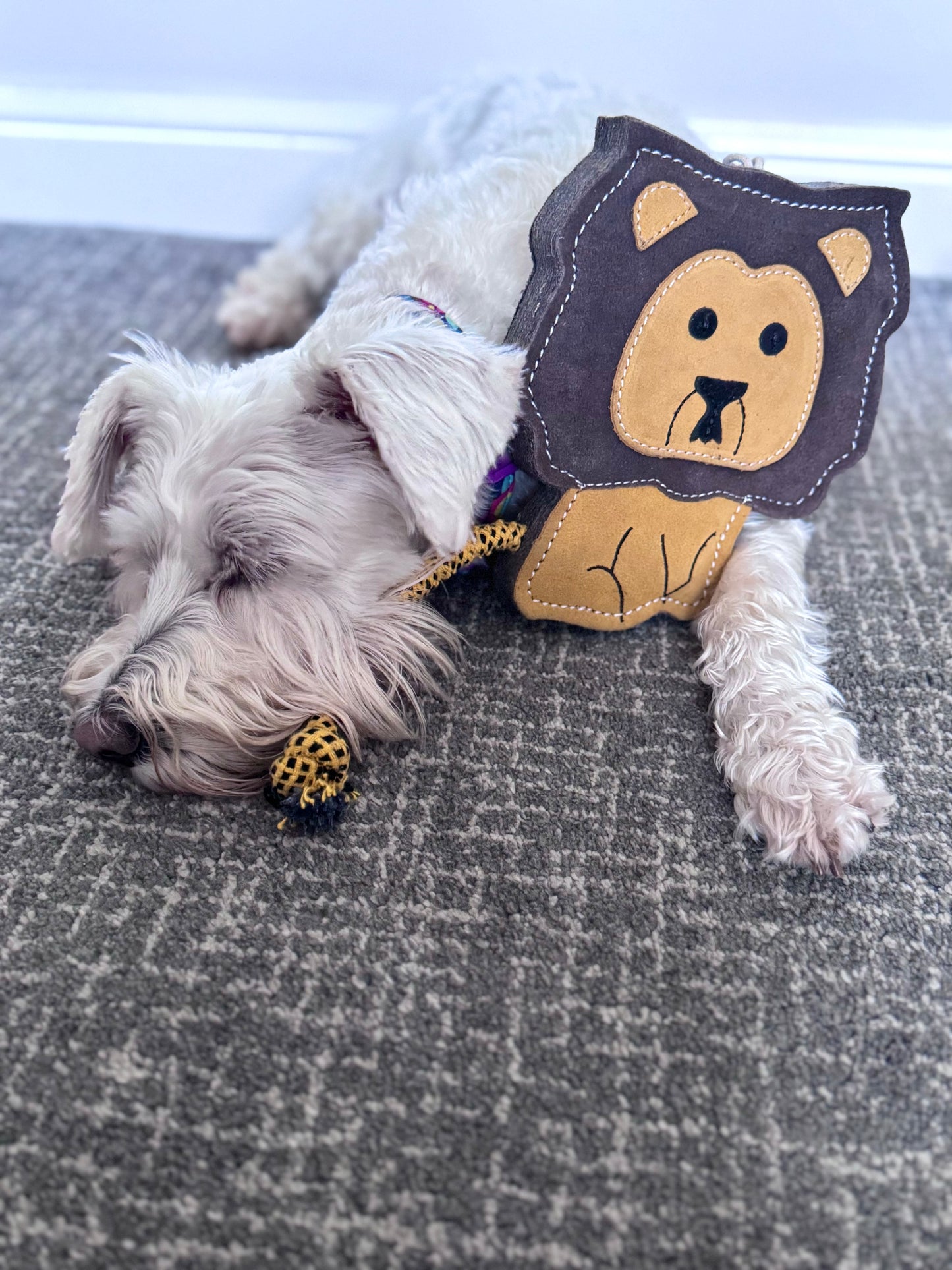 Howard The Lion (Free Postage)