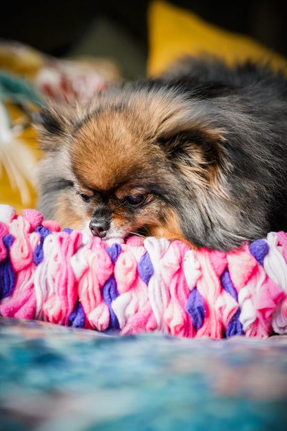 Custom Coloured Small Pocket Puzzle- for toy breeds and small pets