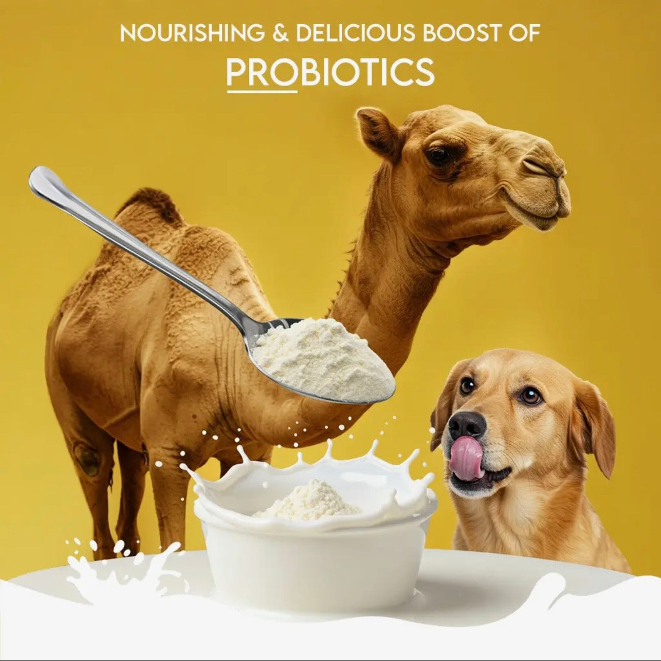 Camel Milk