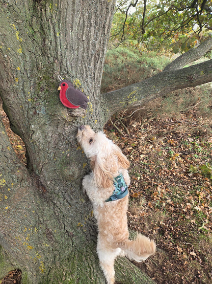 Rodney The Robin (Free Postage)