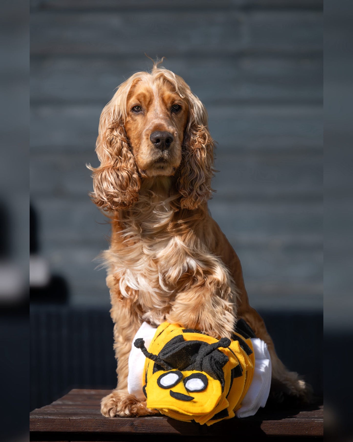 Bumble Buzzle Available In 2 Sizes (Free Postage)