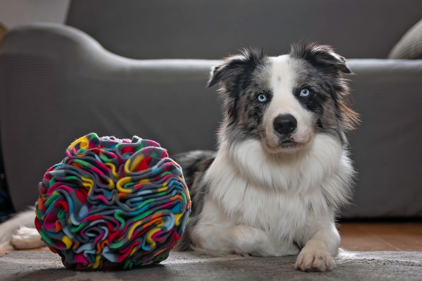 Large Snuffle Ball (Free Postage)