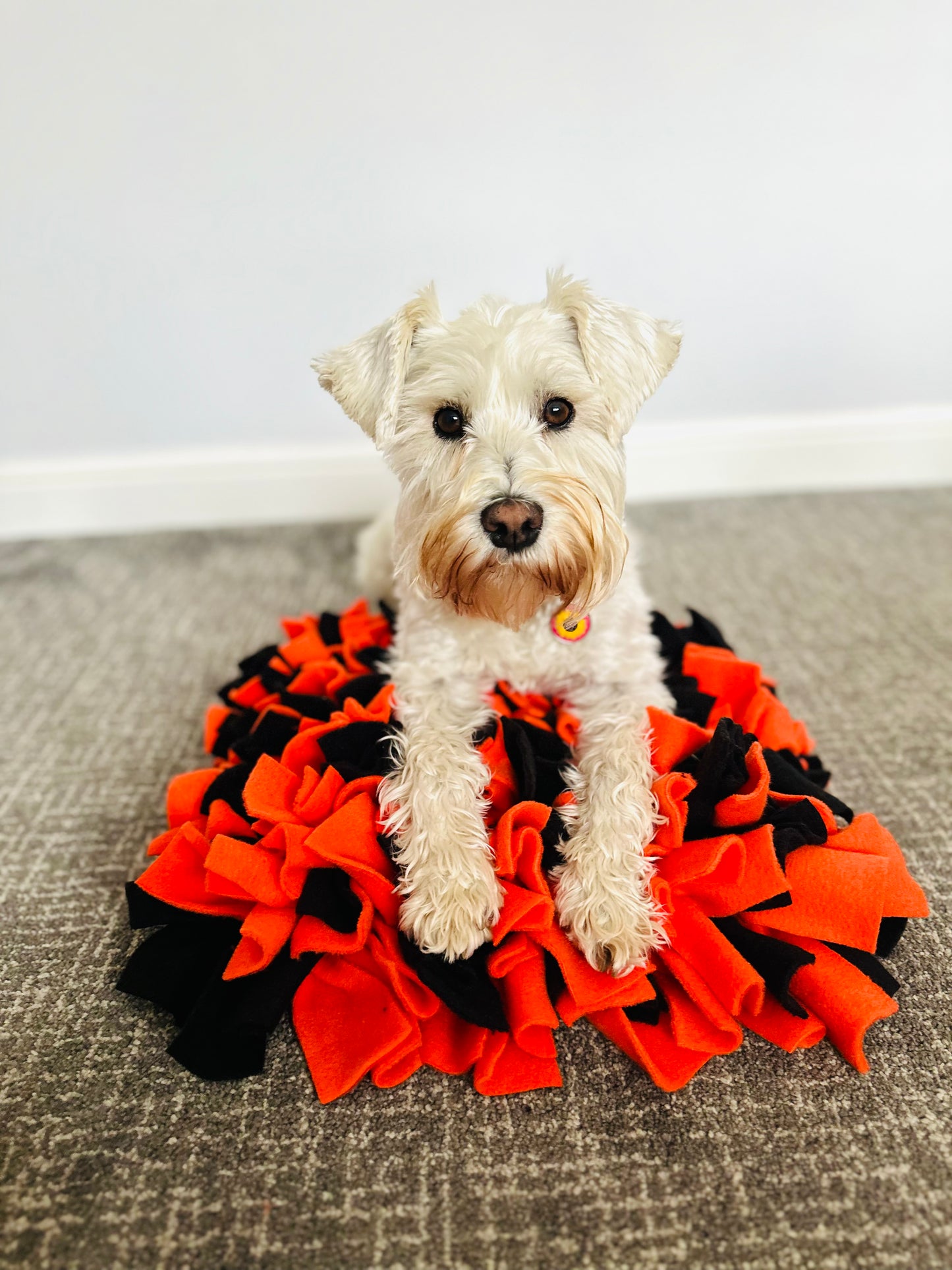 Schnauzerfest Snuffle Mat, Available in 3 sizes  (15% of this order will be donated to the Schnauzerfest charity)