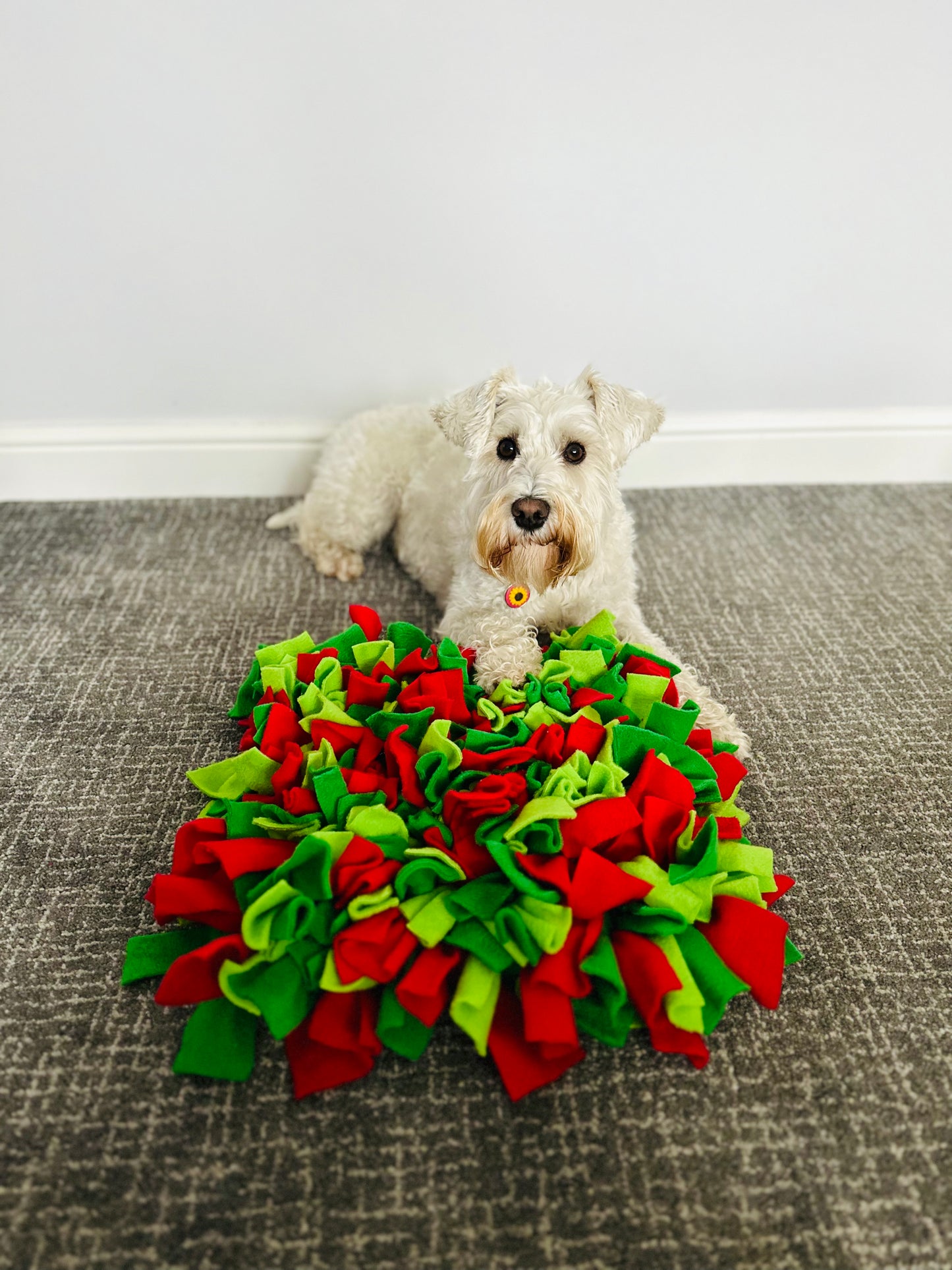 Christmas Snuffle Mats 2 Sizes Available (Free Postage)