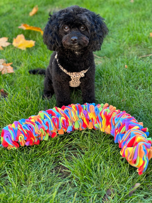 Custom Coloured Small Pocket Puzzle- for toy breeds and small pets (Free Postage)