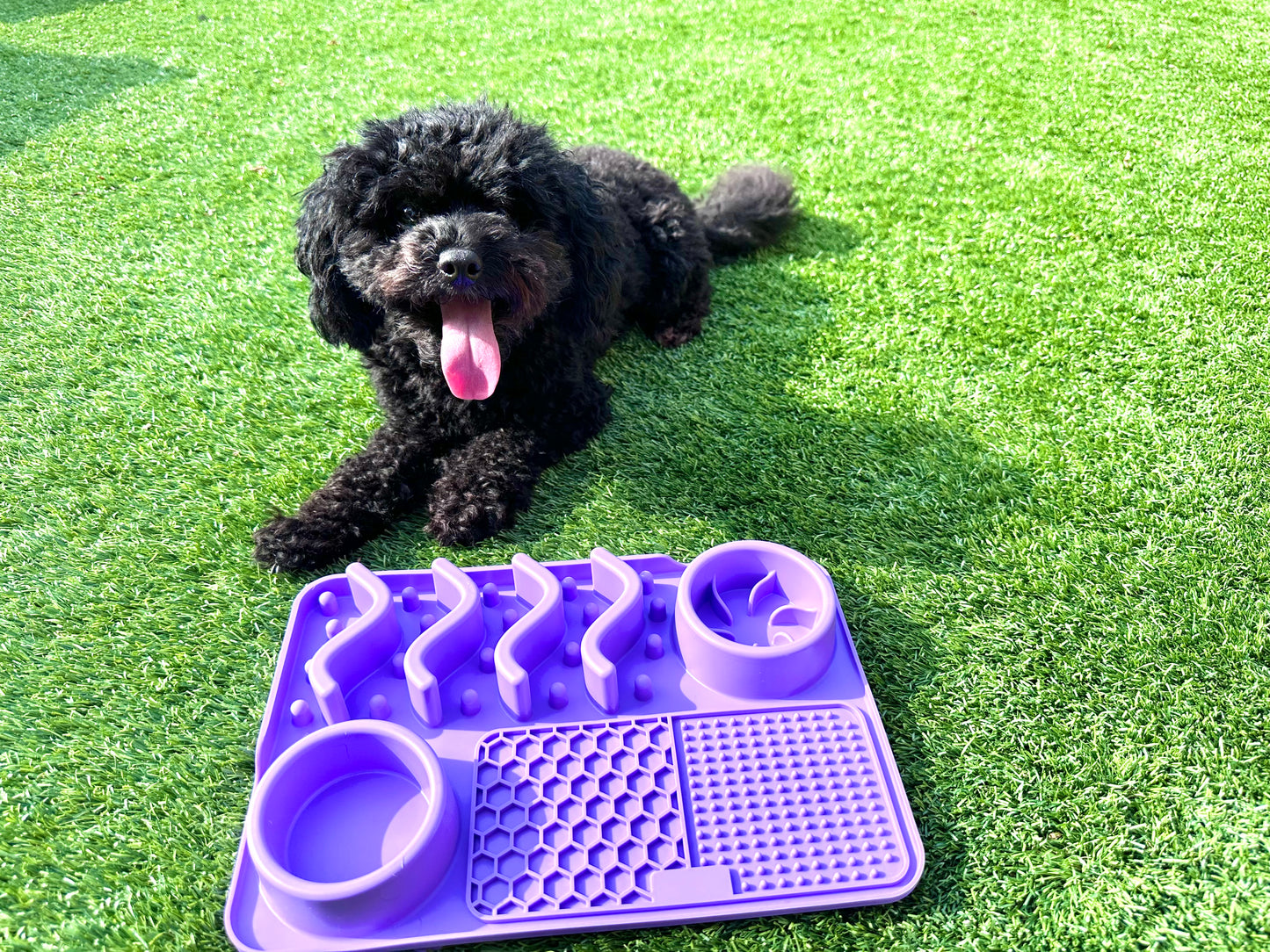 Multifunctional Lick Mat, Available In 2 Sizes (Free Postage)