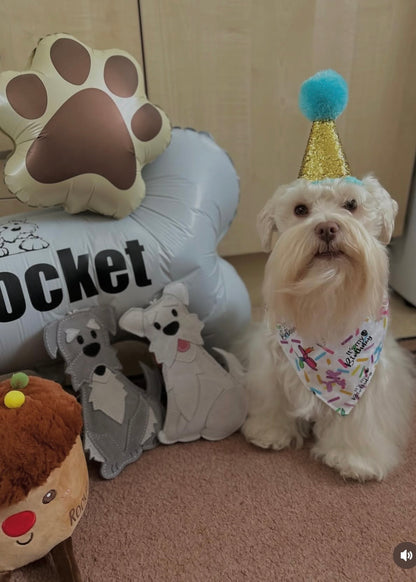 The Schnauzer Collection