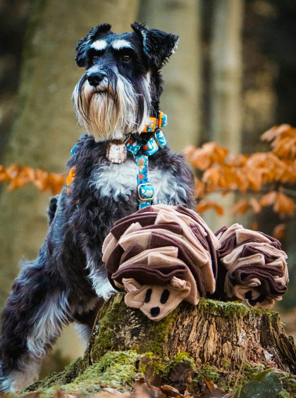 The Snuffle Hog Available In 2 Sizes