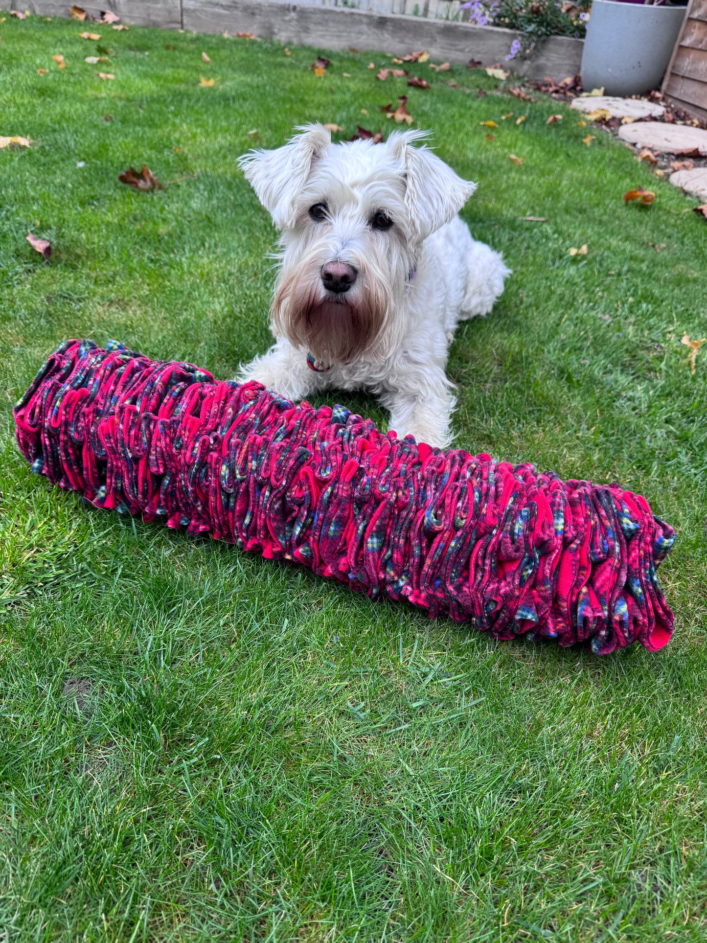 Festive 3 in 1 - Pocket Puzzle/ Wreath Tug/ Snuffle Ball Enrichment Sets  (Free Postage)