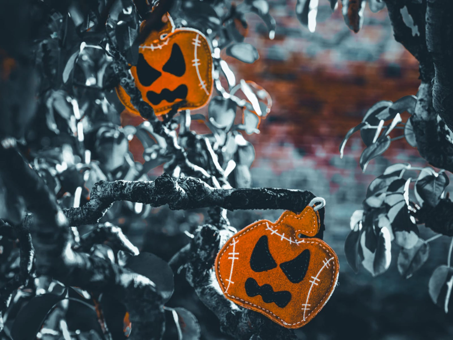 Jack The Lad Lantern (Free Postage)
